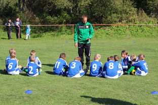 开云体育登录网站入口-国家队战术决策效率如何提升,国家队战术决策效率如何提升的